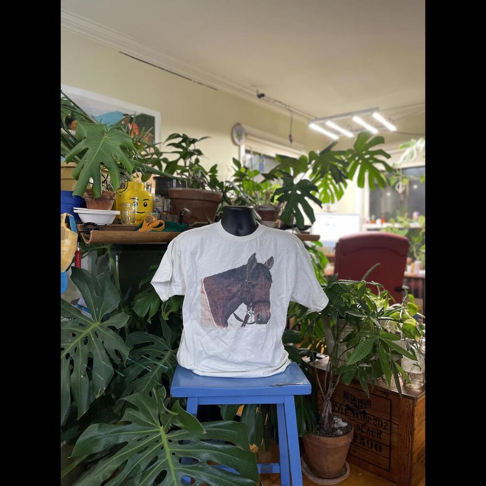 Vintage Mountain Express Horse Graphic T-Shirt
